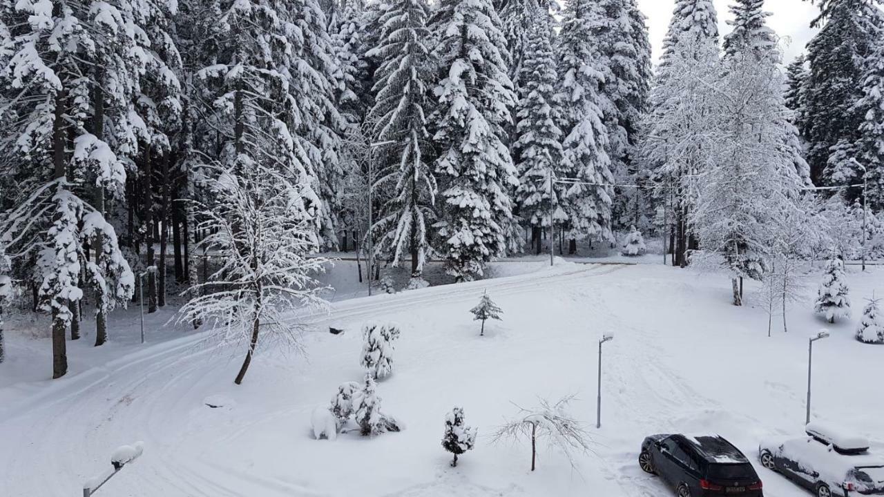 Borovest Garden. Leilighet Borovets Eksteriør bilde